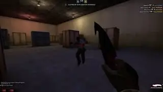KIDS THAT DDOS 2 THE PROFESSIONAL DDOSER
