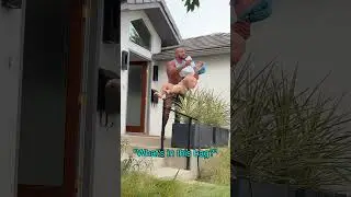 Giant Baby Prank | Ross Smith