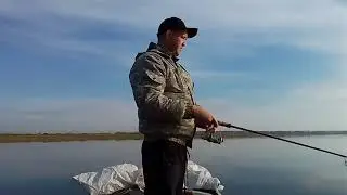 16 ноября 2023 г.