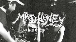 mad honey — “Euphoria” (Official Audio)
