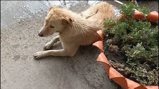 архивы