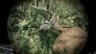Hunting Elk - Grand Theft Auto V ep. 04