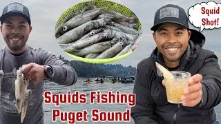 SQUIDS SHOT OMG !!! Squids Fishing Puget Sound