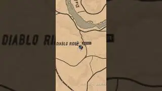 Madam Nazars Location) For 8/16 - RDR2 Online, #shorts-#shortsvideo,madam nazar location #rdr2