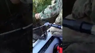 Как напарник щуку упустил #рекомендации #short #рыбалка #щука #отдых #спиннинг #юмор #еда #food