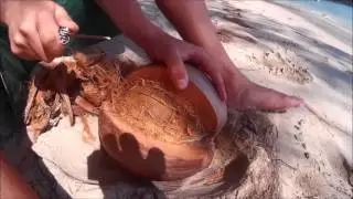 Best way of opening a coconut with a small knife!
