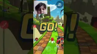 Sonic forces flax #1