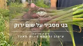 בני מסביר על שום ירוק