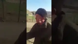 3 ноября 2019 г.