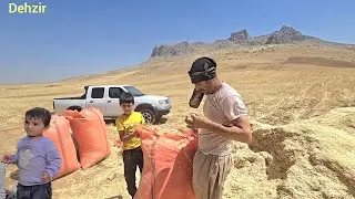 The Hard Lifeof AghaQurban:ATripto a Strange City to Buy Fodder and the Challenges of Motherlessness