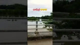 ගං වතුර 😳😳 #adobestock #onlineearning #youtube #earning #earningsource #makemoneyonline #moneymak
