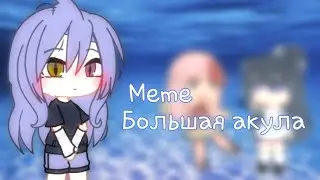 💙Meme💙Большая акула💙