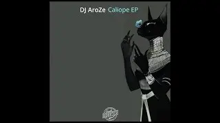 DJ AroZe - 1st Ammendment [Pineapple Grooves]