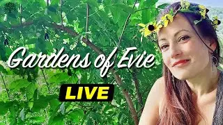 Garden of Evie - Peak Prosperity