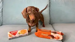 CHEAP OR EXPENSIVE FOOD