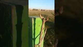 Ейск. Территория бывшего кладбища