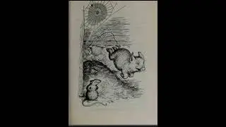 Charlotte's Web, chapter 9