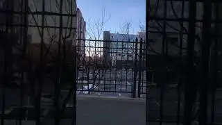 Прогулка. Здание сбербанка. Ростов.
