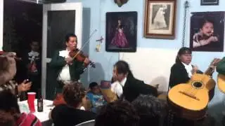 El pollito pio Mariachi Los Caporales
