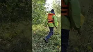 Море грибов на рыбалке 😲 #грибалка #грибники #грибы #fishing #рыбалка #интересно #популярное #топ