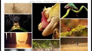 02_Tips On Increasing Your Chances to Win a Photo Contest: Why You Should Enter Photo Contests