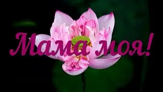 Мама моя.    Helen Krupskaya, Anna Hofmann & Anita Schwarz