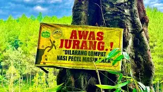 REVIEW PERKEMUNAN CENGKEH YANG INDAN DAN ALAMI JALUR MENURU WISATA TELUNJUK RAONG SONNGON BANYUWANGI