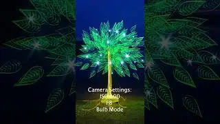 Tree Of Light - Light Painting Photography Tutorial