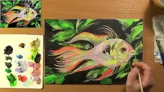 Как нарисовать рыбу. Рисуем рыбку. Аквариумная рыбка- Апистограмма рамирези. Акрил