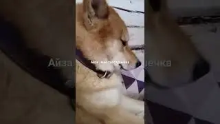 22 марта 2024 г.