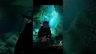 Swimming through school of Silversides in a Carvern