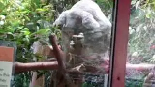 Let's go to the ZOO!!