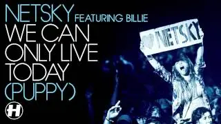 Netsky - We Can Only Live Today (Puppy) (feat Billie) (Modek Remix)