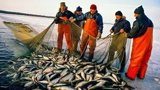 A fisherman’s lot | 