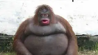 😳😳😳  ПРОСТО  ЖИЗНЬ ПОВЕРНУЛАСЬ...🤯🤯🤯