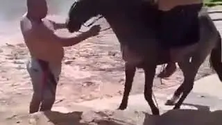 Принц на белом коне 