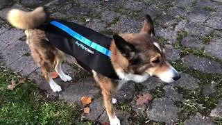 Vicki Wears Surf City's Massage Jacket