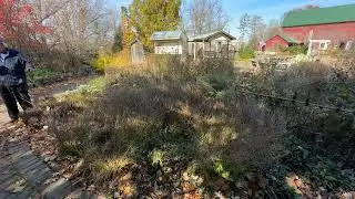 Perennial Cut-Back Strategies  Episode #221