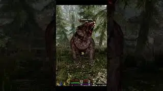 Миша🐻 #STB #скайрим #games