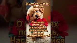 Хорошего дня, Здоровья и Счастья! Have a nice day, good health, and happiness! 