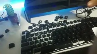 hyperx pudding keycaps