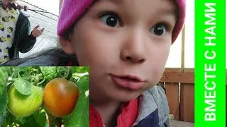 Ужин на улице. Работа в теплице. Бренды разочаровали🫣 Вова о велопробеге 🚲