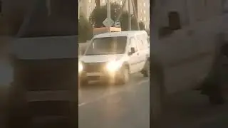 Будни эвакуаторщика: собака посередине дороги #животные #рофл