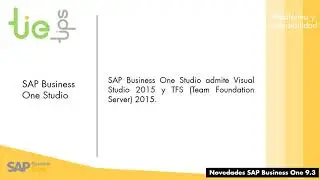 9.3 Plataforma y extensibilidad SAP Business One