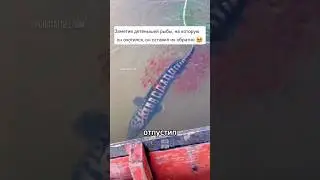 лучшее решение😌
