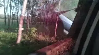 Pemandangan Kalimantan Pagi Hari