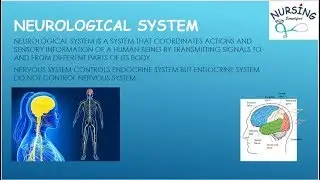 Neurological system(brain) explained with Quiz. Vid01