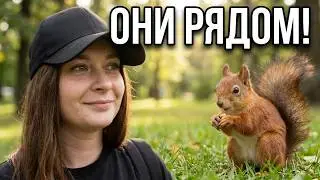 284 День когда мы встретились с истории 🏰 и  пушистыми друзьями 🐿️