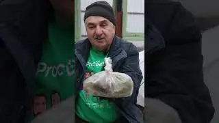Из одной луковицы - 50 НОВЫХ! Сделайте это сейчас