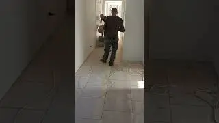 братуленчик циклюет фанеру
